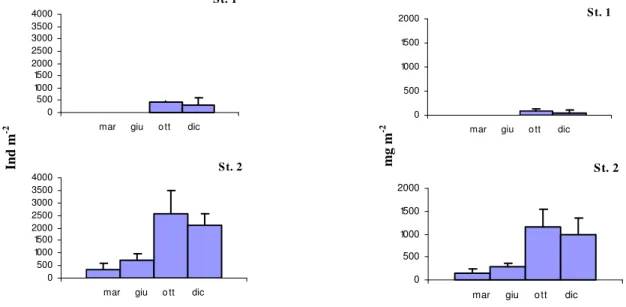 Fig. 58 - Andamento della densità e della biomassa di Hydrobia spp. nelle due stazioni esaminate (± e.s.) 