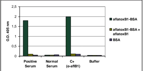 Figura 13. ELISA competitivo sul siero dei topi immunizzati prelevato dopo  il primo richiamo
