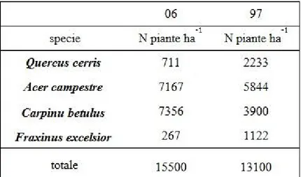 Tabella 5: numero di polloni ricacciati sulle ceppaie in seguito al taglio nella 06 e nella 97