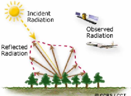 Figura 6: intercettazione da parte dei sensori remoti della radiazione incidente riflessa