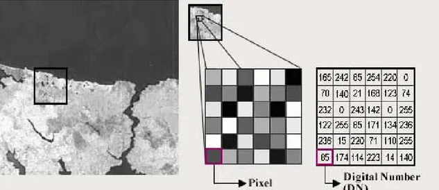 Figura 7: immagine digitale con particolare dei Pixel e Digital number che la  compongono (Fonte: www.cscrs.itu.edu.tr) 