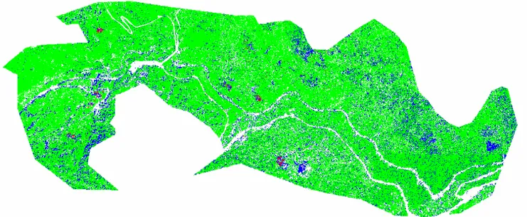 Figura 19: Classificazione con l’algoritmo a massima verosimiglianza dell’area  castanicola del Comune di Crognaleto (TE)