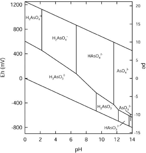 Figura 1.1: Ripartizione delle specie chimiche in organiche dell’arsenico  nelle acque, in condizioni standard (25°C e pressione di 1atm), in 