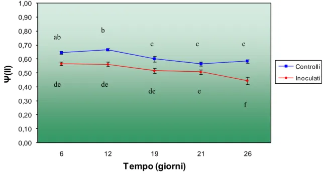Figura 15: Resa quantica del PS II, espressa come Y(II), di foglie di piante inoculate su fusto (PAR utilizzata 460  μmol quanti m -2  s -1 ) a diversi giorni dall’inoculazione