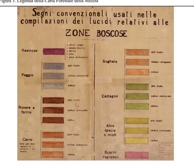 Figura 3. Legenda della Carta Forestale della Milizia 