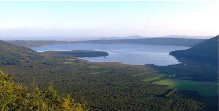 Foto 3 - Veduta del Lago di Vico versante est. Area Naturale Protetta del Lago di Vico 