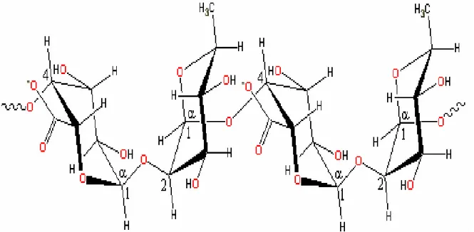 Figura 7. Struttura chimica della pectina. 