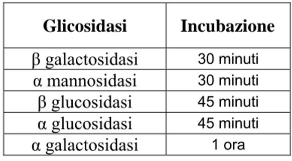 Figura 17. Tempi di incubazione delle varie glicosidasi. 