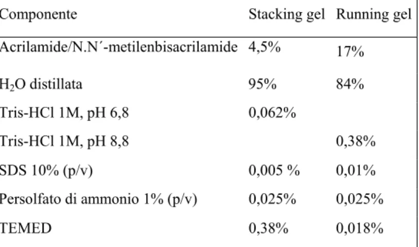 Tabella 3.3.   Composizione del gel per la separazione mediante SDS-PAGE 