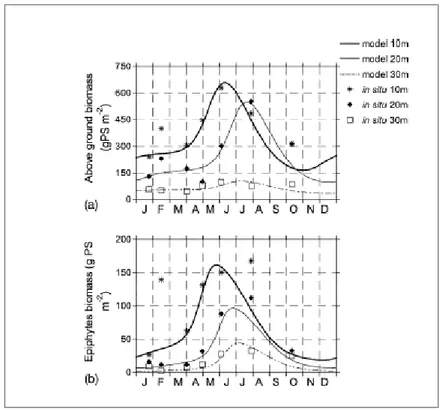 Fig. 8: Valori di biomassa osservati e simulati  per foglie (a) ed epifiti (b) (Elkalat, et al., 