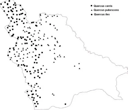 Figura 1 – Classificazione tipologica dei punti inventariali  