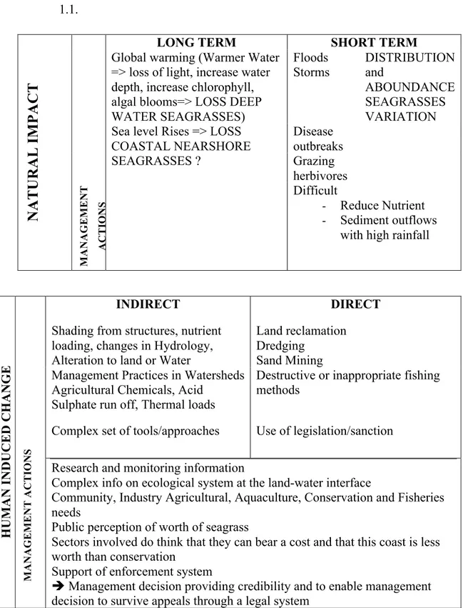 Table 1.1 Impacts on Posidonia meadows