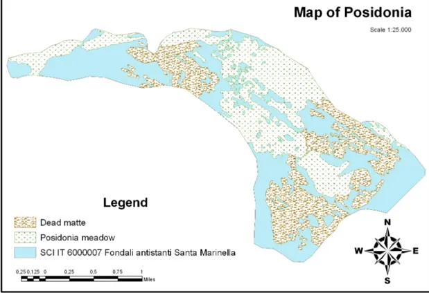 Fig 3.1. Distribution of Posidonia within the SCI  