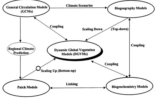 Figure 1.1: Schematic representation of the potential approaches of the Dynamics Global Vegetation Models (DGVMs) coupling with global circulation,  biogeochem-istry, biogeography, and patch models (from Peng, 2000).