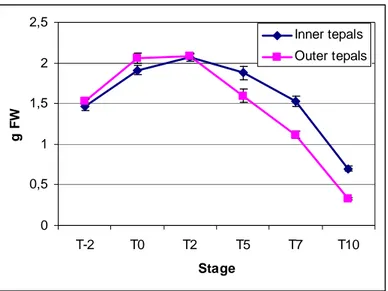 Figure 6. Fresh weight (FW) of lily flower during development and senescence. 