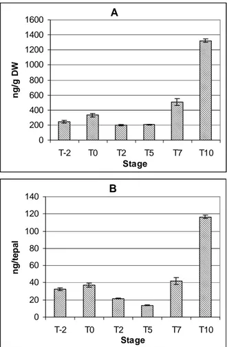 Figure 12. Endogenous free IAA in outer lily tepals during flower development 