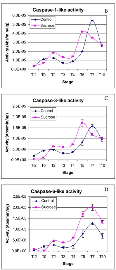 Figure 23. (A) pH profile for in vitro cleavage of mammalian caspase substrates 