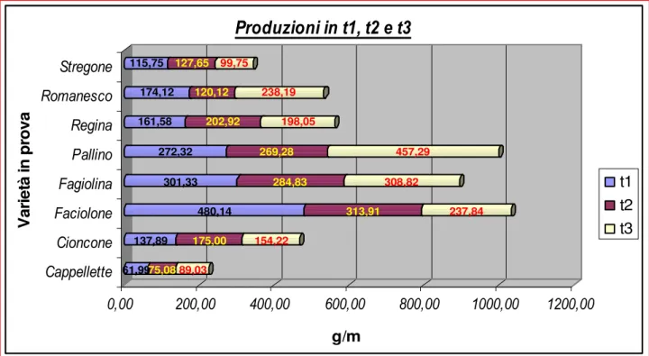 Tabella 7 . Valori della produzione di granella nelle tre tesi sperimentali espresse in g/m 