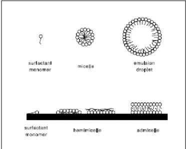Figura 1.4 Rappresentazione schematica di differenti forme di surfactanti nel suolo 