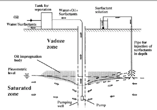 Figura 1.5 Schema sperimentale per l’iniezione di surfactanti in profondità per il recupero 
