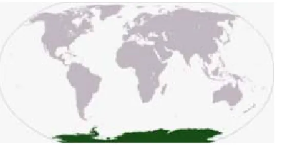 Figura 1.4 – Posizione del  continente Antartide sulla  Terra.