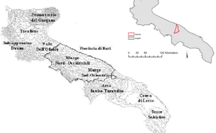 Figura 2.1 – Sistemi morfologici della penisola pugliese (Fonte Borri, 1996) e localizzazione del  bacino idrografico della Lama San Giorgio