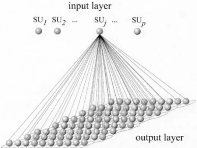 Fig 3.3: Schematizzazione dei layer della mappa di Kohonen; SU; Sampling Unit 