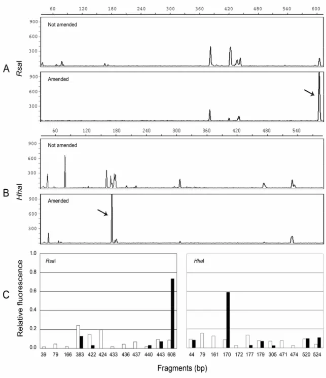 Figure 1.5. T-RFLP profiles from RsaI (A) and HhaI (B) analysis of 16S rDNA gene PCR 