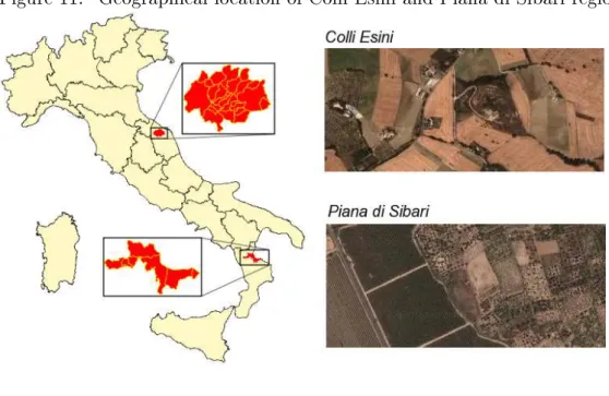 Figure 11: Geographical location of Colli Esini and Piana di Sibari regions