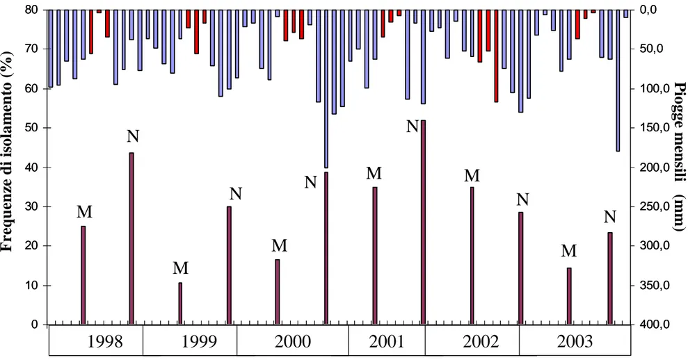 Figura 6. Monte Rufeno (Vt) 2000 – 2006. Piogge mensili e incidenza endofitica di Biscogniauxia mediterranea e Discula 