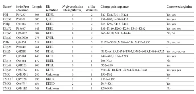 Tab. 1.2 – Caratteristiche dei membri della famiglia della PDI nell’uomo (da Ellgaard e Ruddock, 2005)