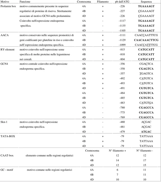 Tab. 1.4 - Principali elementi regolatori identificati nella sequenza regolatrice dei tre geni omeologhi codificanti  per  la  PDI  classica  in  frumento  (da  Ciaffi  et  al.,  2006)