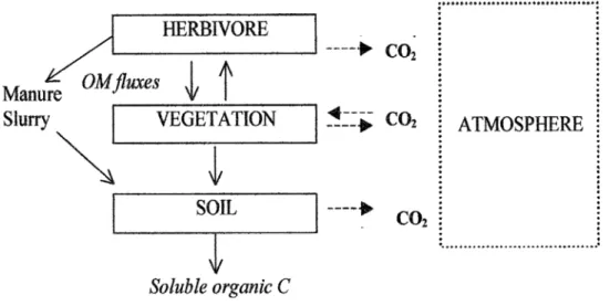 Figure 2.1. Schematic diagram of the greenhouse gas fluxes and main organic matter (OM) fluxes in a  grazed grassland