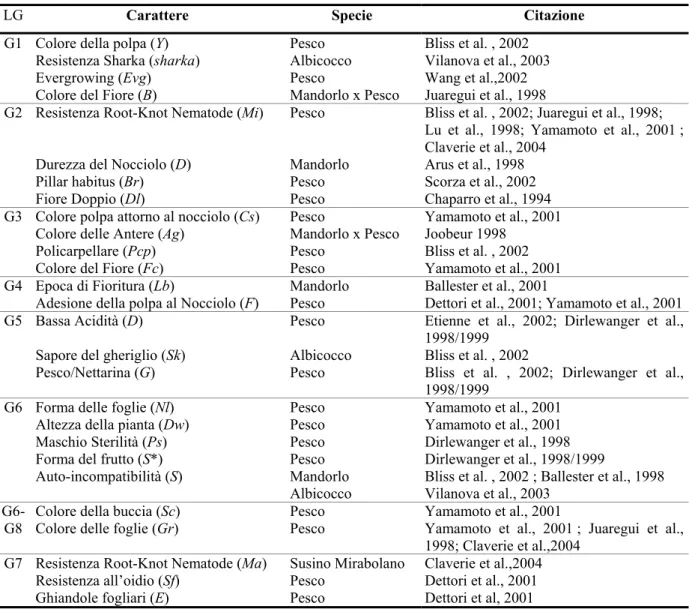 Tabella 3.1 Descrizione dei 28 major gene che determinano caratteri morfologici ed agronomici in  differenti specie di Prunus e che sono stati collocati all'interno della mappa di riferimento (Dirlweanger et  al., 2004) 