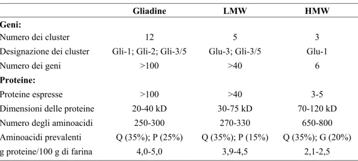 Tabella 1.4 - Caratteristiche dei geni e delle proteine del glutine 