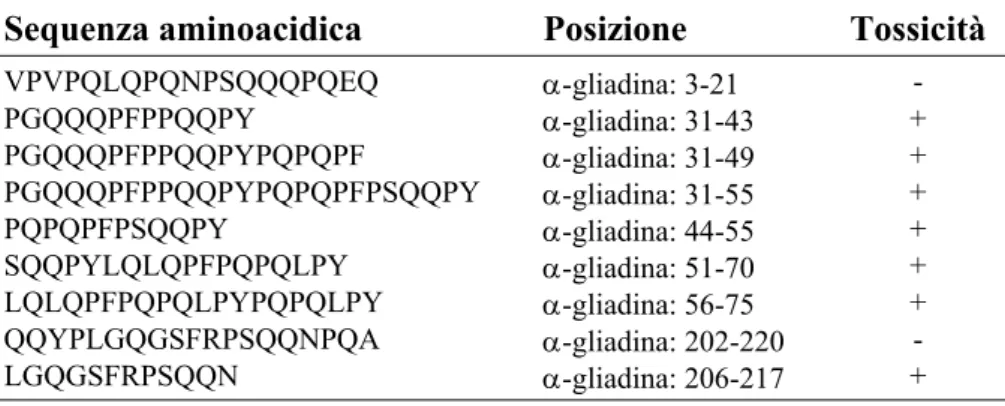 Tabella 1.5 - Peptidi gliadinici tossici 