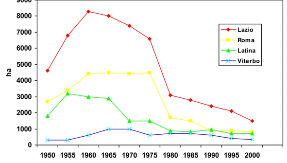 Figura 11 .  Andamento delle superfici investite a carciofo nel Lazio e in particolare nelle 