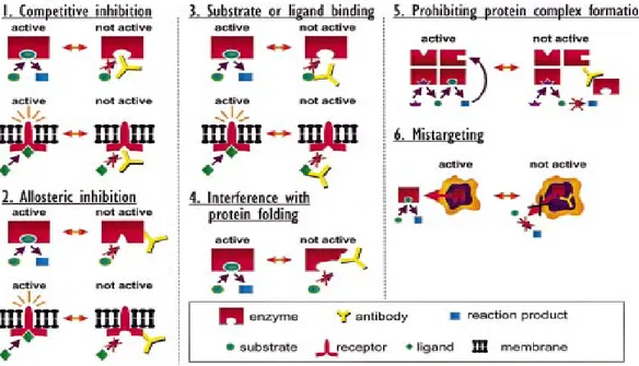 Figura 8. Potenziali meccanismi per la modulazione in vivo di proteine o di molecole 