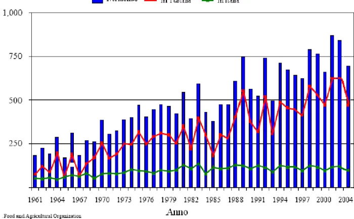 Figura 1.4. Dati sulla produzione mondiale di nocciole dal 1961 al 2004. 