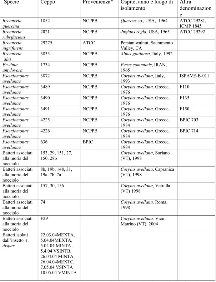 Tabella 2-I. Ceppi utilizzati e numero di accessione *NCPPB, National Collection Plant Pathogenic  Bacteria, York UK ; ATCC, American Type Colture Collection, Rockville; BPIC, Benaki 