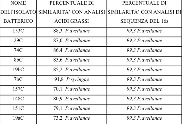 Tabella 3.2-III : Nella tabella sono riportati per ogni isolato i risultati dell’analisi del profilo degli  acidi grassi e delle sequenze del 16S