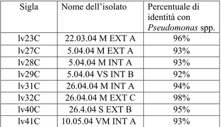 Tabella 3.2-III. Per ogni isolato è riportata la percentuale di identità  con Pseudomonas spp