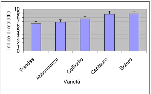 Fig.  4.2: indice di malattia rilevato su cinque  varietà di frumento