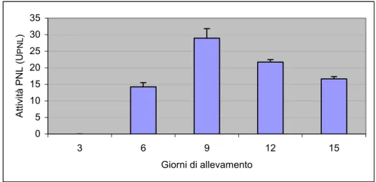 Fig. 4.3: attività petin-liasica prodotta da Fusarium culmorum su mezzo