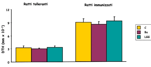 Fig. 12 - Risposta di ipersensibilità di tipo ritardato (DTH) dei ratti tolleranti ed immunizzati.