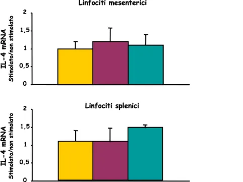 Fig. 14 –Espressione di IL-10 nei linfociti mesenterici e splenici dei ratti immunizzati
