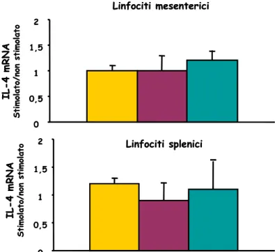 Fig. 16 –Espressione di IL-4 nei linfociti mesenterici e splenici dei ratti immunizzati.