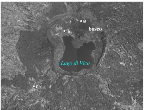 Fig. 12. Immagine satellitare dei noccioleti sperimentali nei Comuni di  Caprarola (“a” e “b”) e di Capranica (“c”)