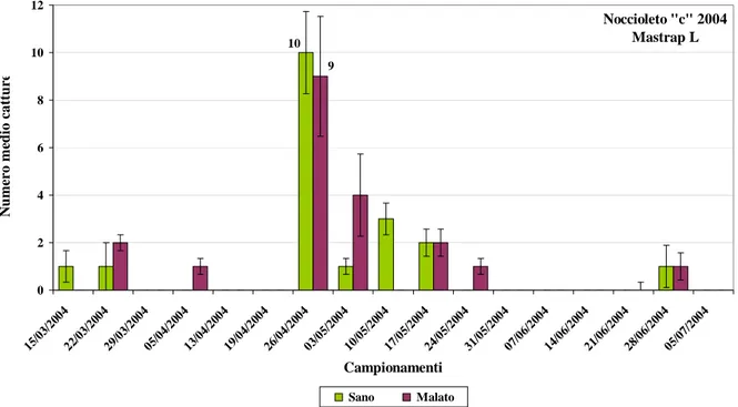 Fig. 33. Catture effettuate con le trappole Mastrap L ®  nei campionamenti del 2004 nel noccioleto  sperimentale “c”