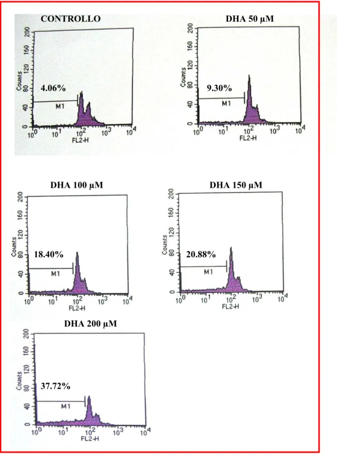 Fig. 3. Visualizzazione dell’istogramma di fluorescenza dell’apoptosi DHA- DHA-indotta in cellule PaCa-44 dopo colorazione PI ed analisi  citofluorimetrica